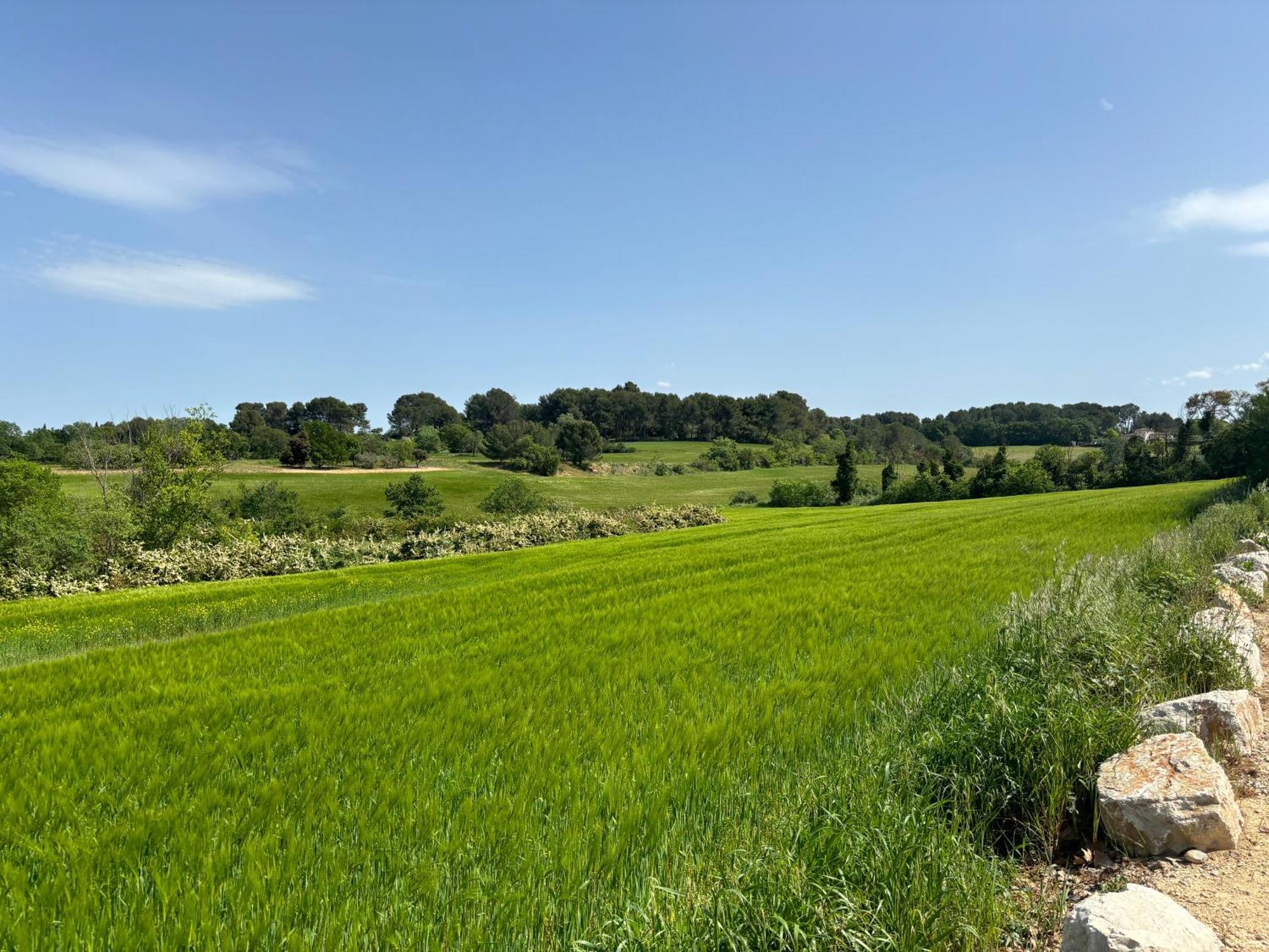 Havre De Paix Au Sein D'Un T3 D'Une Bastide Aixoise エクス＝アン＝プロヴァンス エクステリア 写真